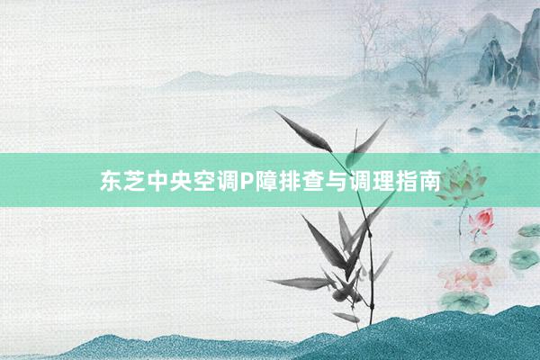 东芝中央空调P障排查与调理指南